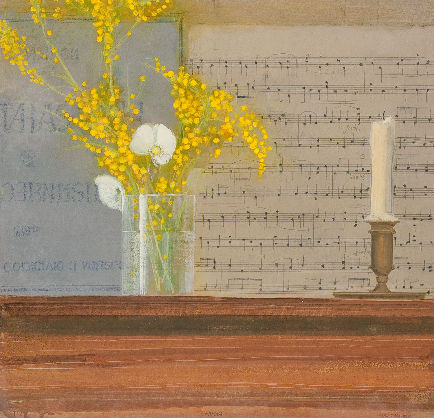 Mimosa, Luis Marsans