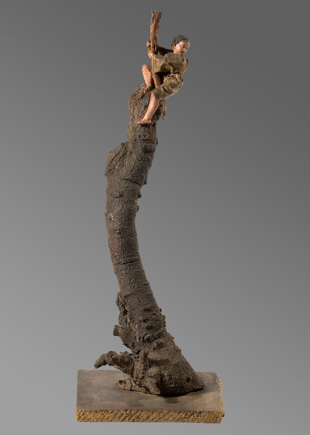 Nen dalt d’un arbre, Ramon Amadeu