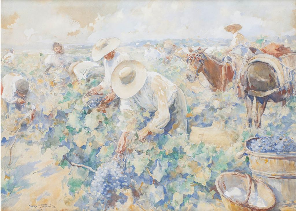 Arcadi Mas i Fondevila, Vendimiadores