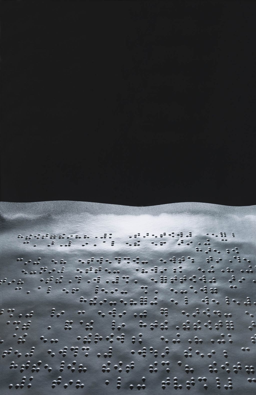 Joan Fontcuberta, Semiopolis (Homer)