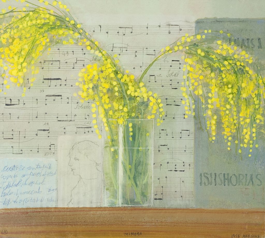 Mimosa, Luis Marsans
