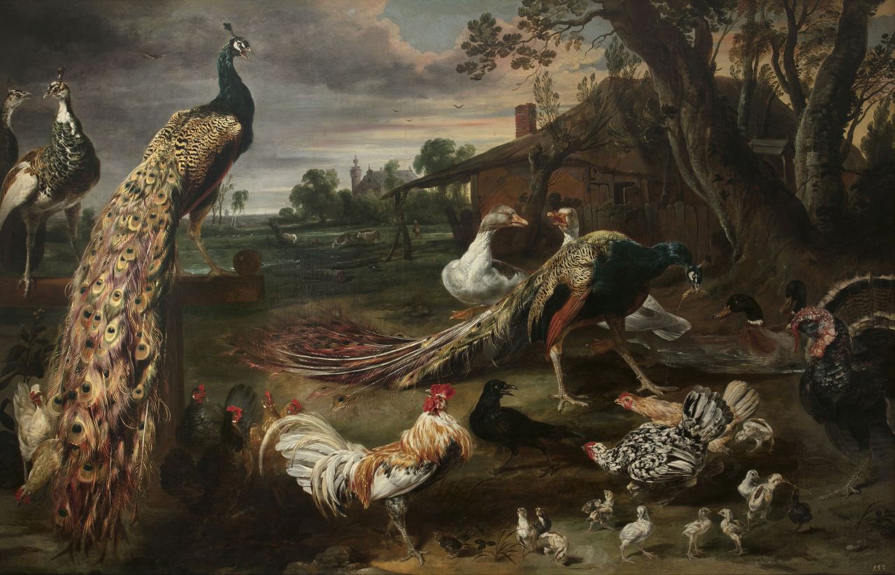 Paul de Vos, Birds